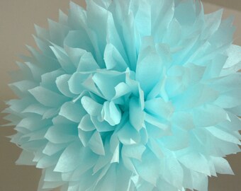 Light blue - one pom