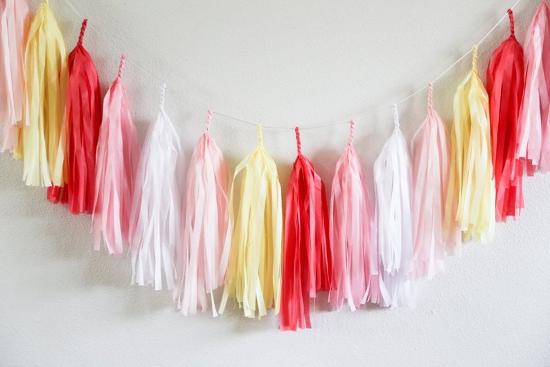 STRAWBERRY LEMONADE Tissue Tassel Garland Party Decoration Etsy