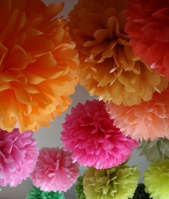5 Tissue Paper Pom Poms for Nursery Decor / Baby's Room / Etsy