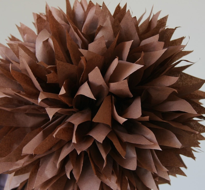 Chocolate one pom image 1