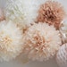 see more listings in the Pom Sets section