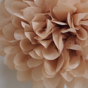 Pompon di carta velina color marrone chiaro... decorazioni per la cameretta dei bambini/decorazioni per matrimoni