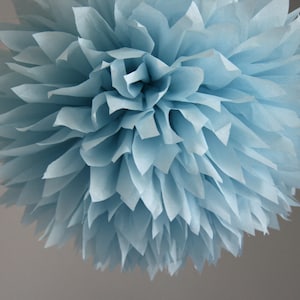 Ash blue - one pom