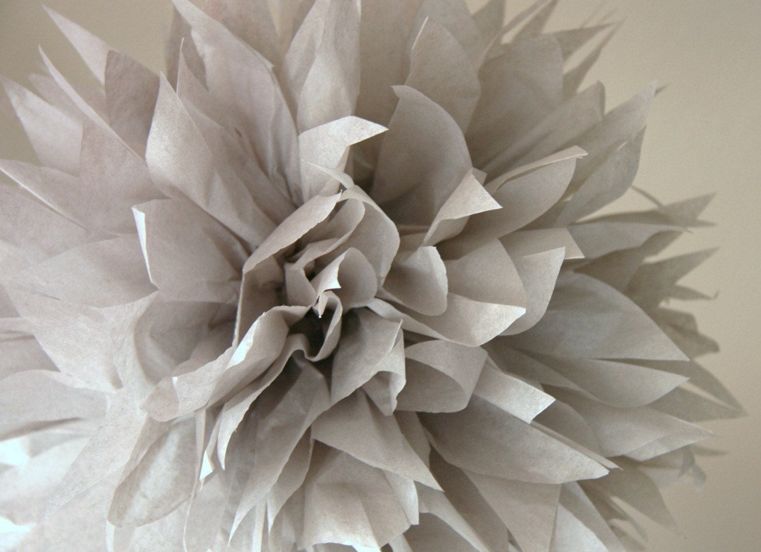 Dove grey - one pom
