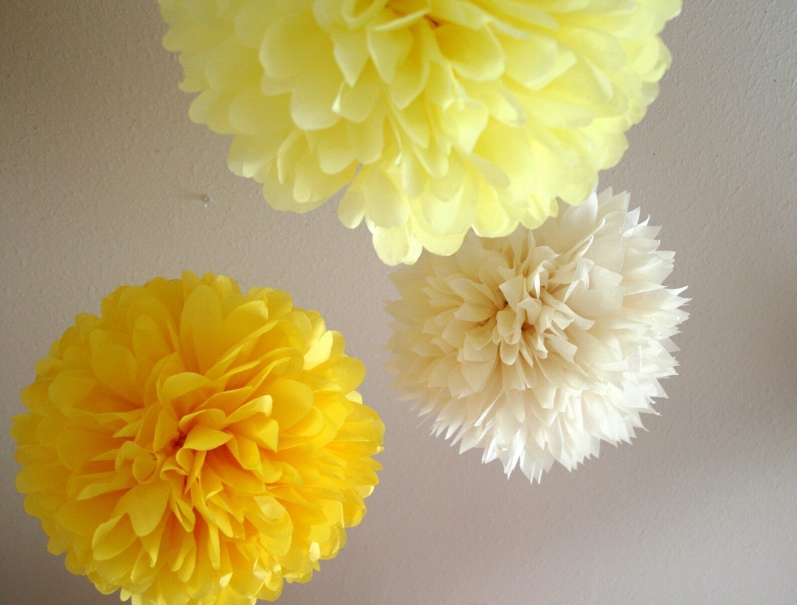 Daisy .. Set of 3 Tissue Pom Poms for Weddings and Birthdays Etsy