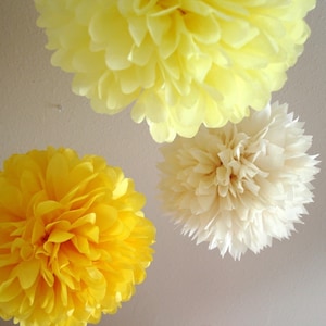 Daisy .. set of 3 tissue pom poms for weddings and birthdays