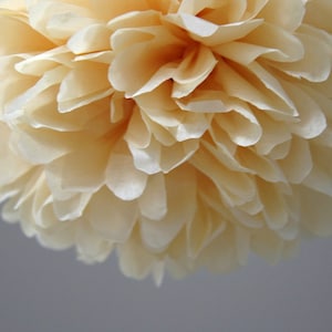 Butterscotch Tissue Paper Pom Poms- Wedding, Birthday, Nursery Decor, Party Decorations