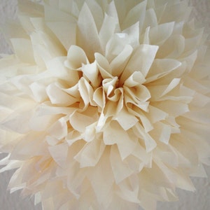 Pom pom di carta velina alla vaniglia francese. Decorazione per matrimonio/anniversario/compleanno/decorazione per feste