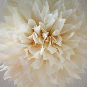 French Vanilla Tissue Paper Pom .. Wedding Decoration / Anniversary / Birthday / Party Decoration image 1