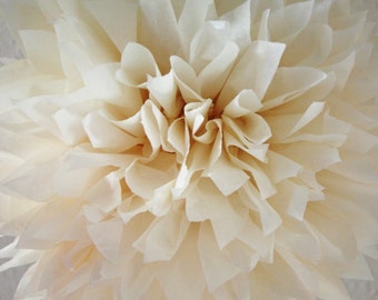 French Vanilla Tissue Paper Pom .. Wedding Decoration / Anniversary / Birthday / Party Decoration