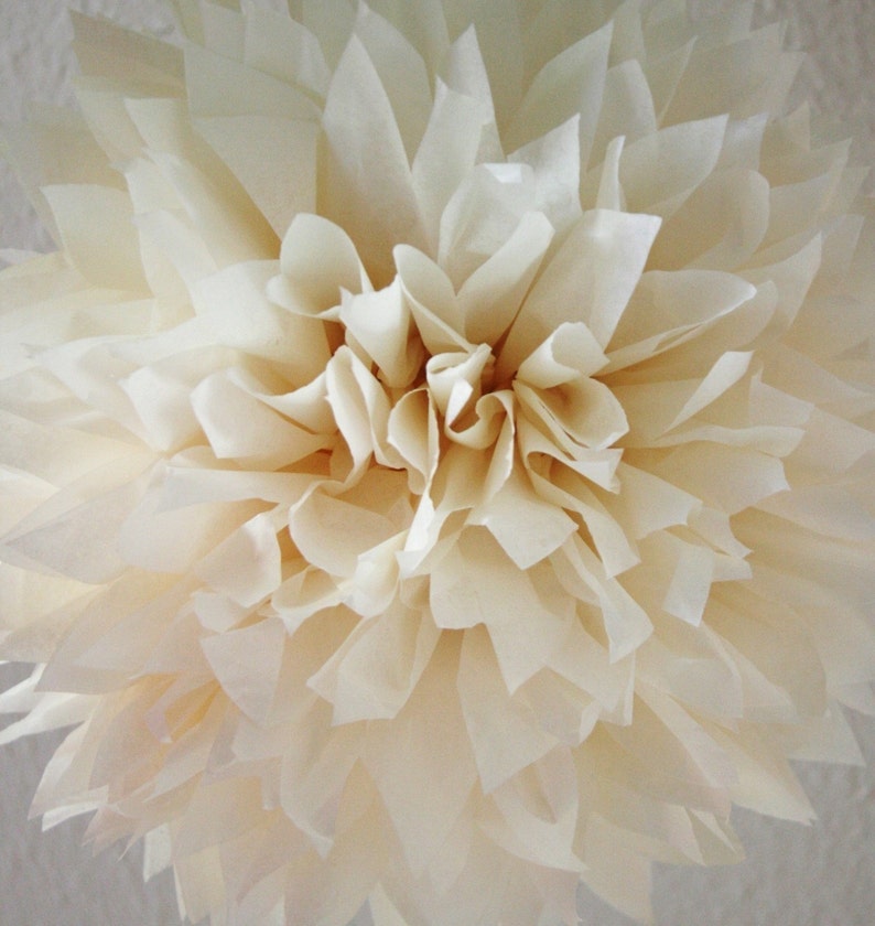 French Vanilla Tissue Paper Pom .. Wedding Decoration / Anniversary / Birthday / Party Decoration image 1