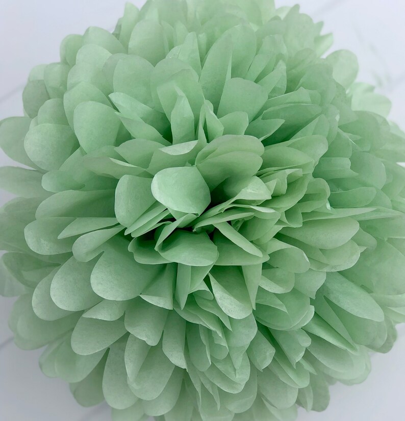 WILLOW tissue paper pom image 1