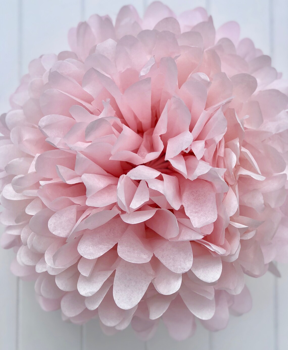 Light Pink Tissue Pom Pom .. Wedding Decoration / Bridal Etsy UK