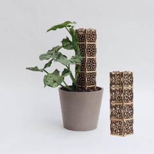 Op de afbeelding: Een kamerplant met grote, groen en wit gevlekte bladeren, naast een decoratieve houten plantenondersteuning. De ondersteuning is gemaakt van in elkaar grijpende vierkanten met een bloemmotief. Een tweede, kleinere ondersteuning is ook zichtbaar.