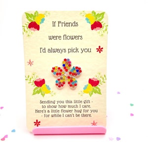 Abrazo de bolsillo para amigo, bolsa de regalo de organza incluida