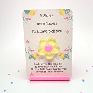 Abrazo de bolsillo para ti, hermana. Bolsa de regalo de organza incluida.