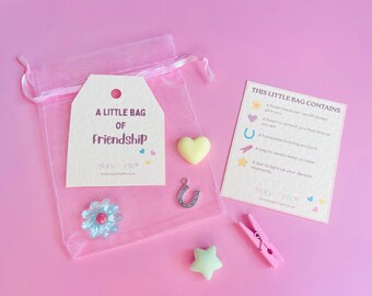 Friendship Keepsake Gift: Pink or Ivory Lucky Token with Gift Bag