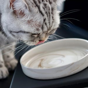 Kom, kattenbak, keramische kom, platte kom, kattenbak, voerbak, marmeren kom