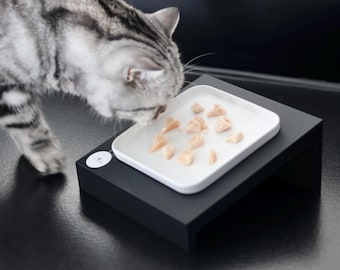Basics: Set of square bowl riser & ceramic bowl 'Clear Edge' in white – Ergonomic set, anti-vomiting slope, ultra-flat, CAT LOURI