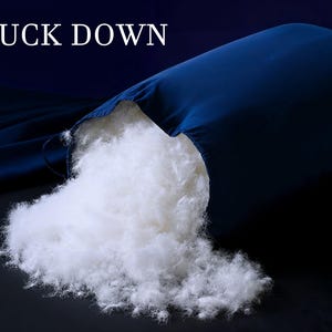 Könnte beinhalten: Ein marineblaues Kopfkissen ist aufgerissen und gibt eine große Menge an flauschigen, weißen Entendaunen frei. Der Text "DUCK DOWN" ist in weißen Buchstaben oben im Bild zu sehen. Der Hintergrund ist dunkelblau.