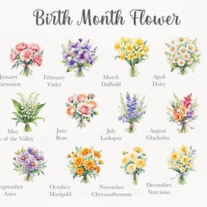 May include: A watercolor illustration of birth month flowers. Each month is represented by a bouquet of flowers, with the month and flower name below. Flowers include carnations, violets, daffodils, daisies, roses, and more.