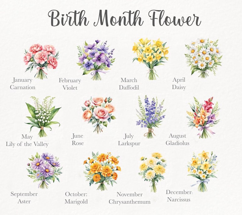 May include: A watercolor illustration of birth month flowers. Each month is represented by a bouquet of flowers, with the month and flower name below. Flowers include carnations, violets, daffodils, daisies, roses, and more.