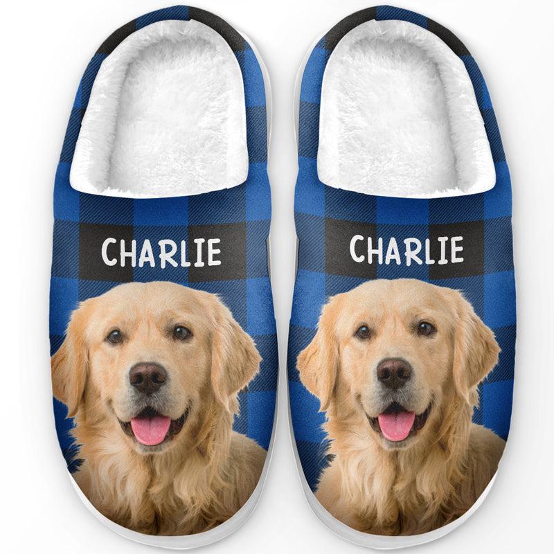 Custom Pet Slippers