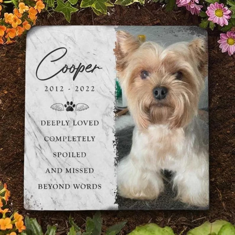 May include: A white marble pet memorial stone with a photo of a small, light brown dog. The stone has the text "Cooper 2012 - 2022" and the words "Deeply Loved, Completely Spoiled, And Missed Beyond Words".
