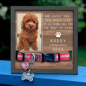 May include: A framed memorial for a dog named Buddy, featuring a photo of a brown poodle, a red and black dog collar with a silver tag that says "CHARLIE", and the text "WE LOVED YOU YOUR WHOLE LIFE. WE'LL MISS YOU FOR THE REST OF OURS BUDDY in loving memory 2022".