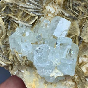 330g Stunning Aquamarine Crystals with Muscovite Specimen from Pakistan