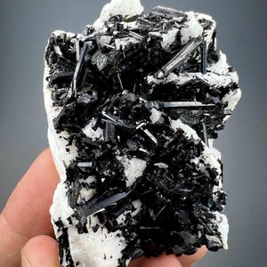 93g Natural Black Tourmaline Crystal Cluster on Albite Matrix from Pakistan | Mineral Specimen