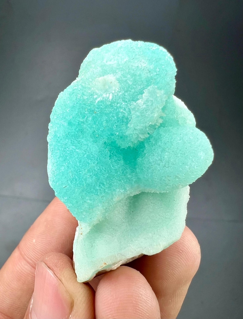 Pu&ograve; includere: Un vivace campione di minerale turchese chiaro con una superficie strutturata e cristallina. Il minerale ha una forma arrotondata e organica ed &egrave; tenuto contro uno sfondo scuro. Il colore &egrave; una tonalit&agrave; brillante e accattivante di blu-verde.