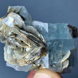 Rare Natural 75g Natural Aquamarine Crystal with Muscovite from Pakistan