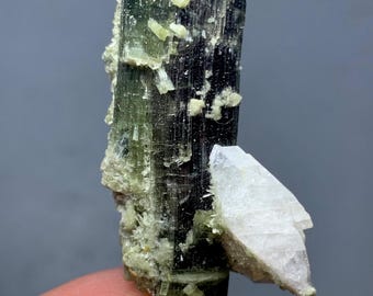 Green Cap Tourmaline Crystal Specimen: 20g Mineral from Pakistan