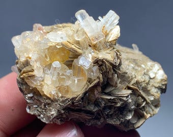 Aquamarine Crystals with Muscovite – Natural Beryl Specimen from Pakistan