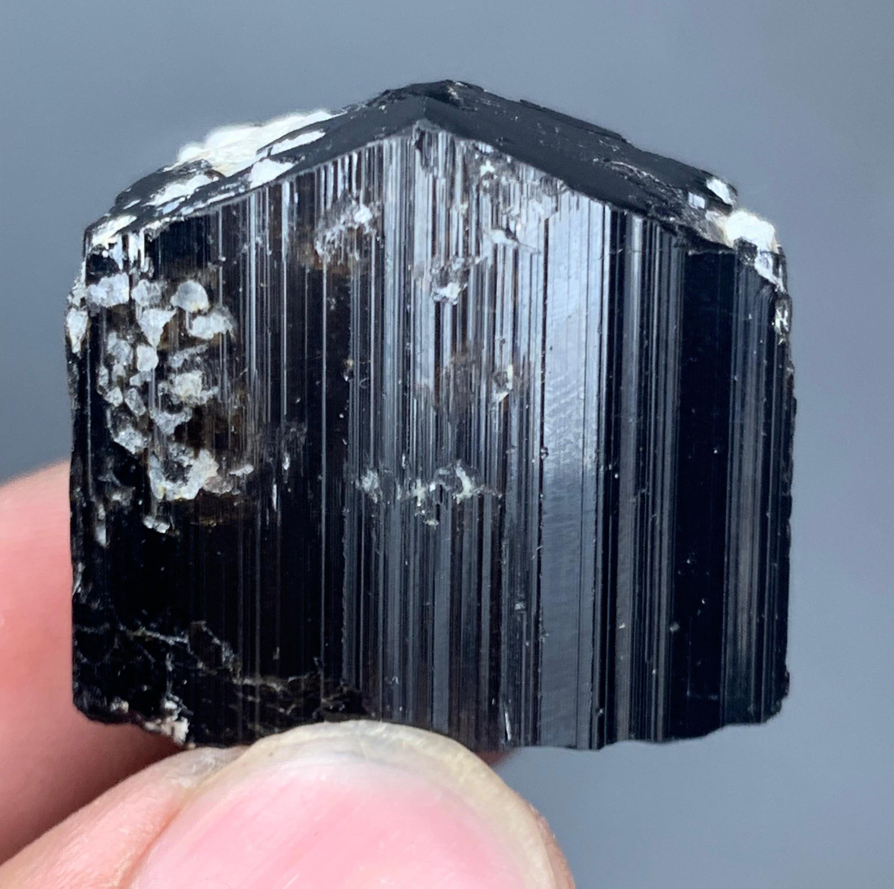 42g Natural Black Tourmaline Crystal – Striated Termination From