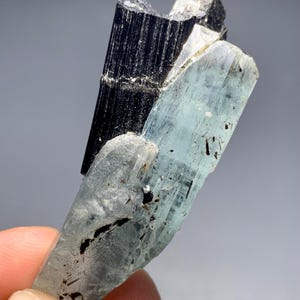 20g Rare Aquamarine & Black Tourmaline Crystal Specimen from Pakistan