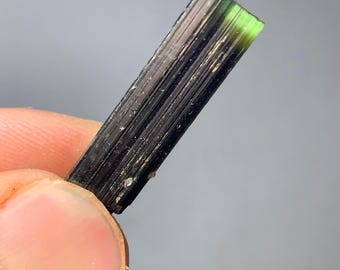24ct Natural Green Cap Tourmaline Crystal from Pakistan | Terminated Gemstone Specimen