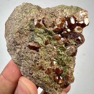 May include: A raw mineral specimen featuring clusters of deep reddish-brown, faceted garnet crystals embedded within a textured, earthy matrix of olive green and brownish-gray rock. The crystalline structure displays sharp, geometric edges.
