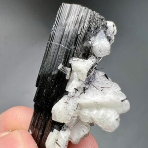 Natural Schorl Black Tourmaline with Albite, Pakistan Mineral Specimen, Raw Tourmaline Crystal, Collector Crystal