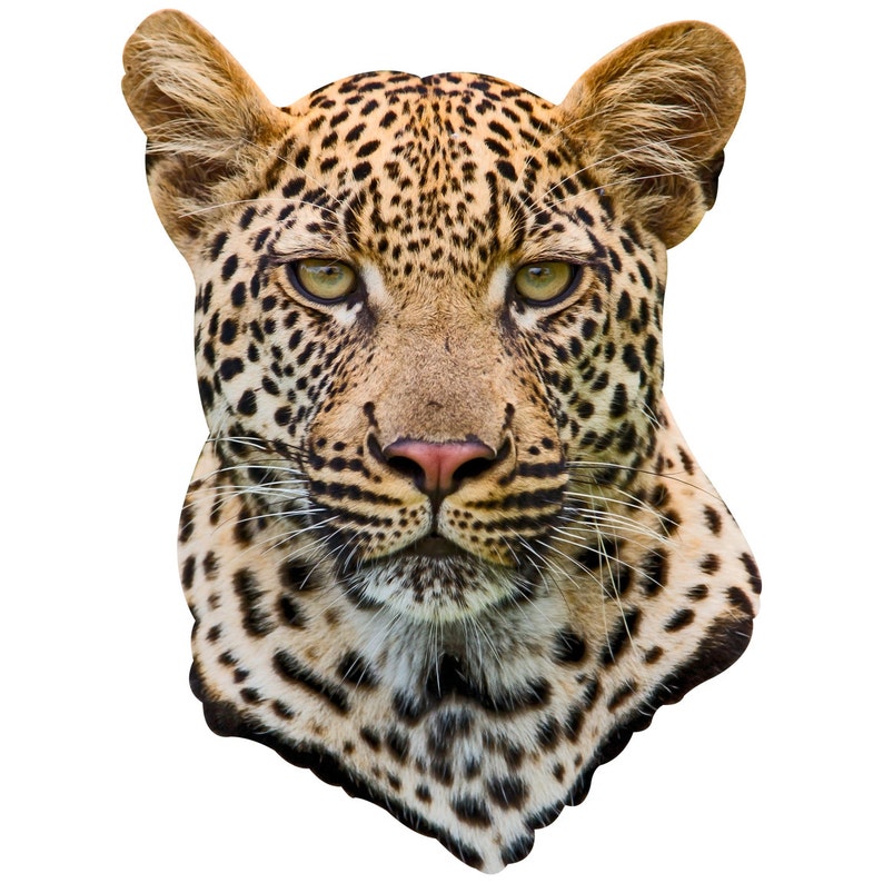 Leopard Head Adhesive Taxidermy - Etsy