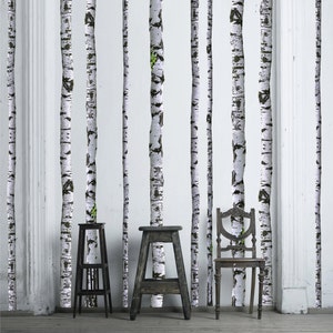 Birch Tree Wall Decals 9 ft tall Quantity of 5 image 1