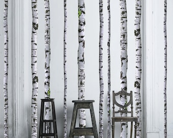 Birch Tree Wall Decals - 9 ft tall (Quantity of 5)