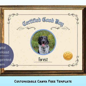 May include: A printable certificate that reads "Certified Good Boy" with a picture of a black and white dog in a blue oval. The dog's name is Forest. The certificate has a gold paw print seal.
