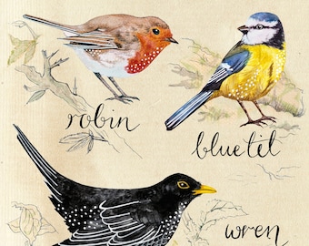 British Birds A3 Print