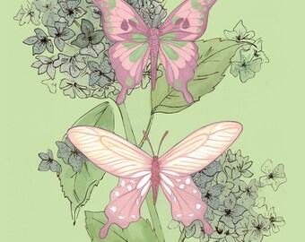 Butterflies and Hydrangea fine art print