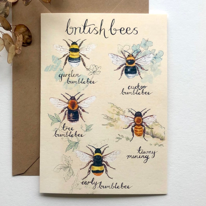 British bees Greetings card art card blank card birthday card image 1