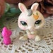 Littlest Petshop Dwarf Rabbit #1855 / Authentic Vintage Hasbro Littlest ...