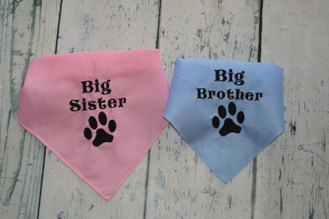 Big Sister Big Brother Dog Bandana With Paw Print Custom Etsy