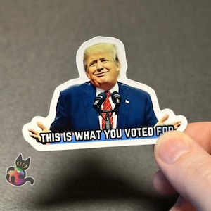 Ecco per cosa hai votato Adesivo politico anti-Trump divertente, Adesivo elettorale sarcastico di Trump, Fogli di adesivi di meme politici di Trump, Satira